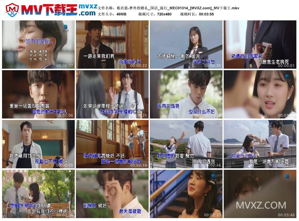 蔡忠慈-梦外的婚礼_国语_流行_MEC01314